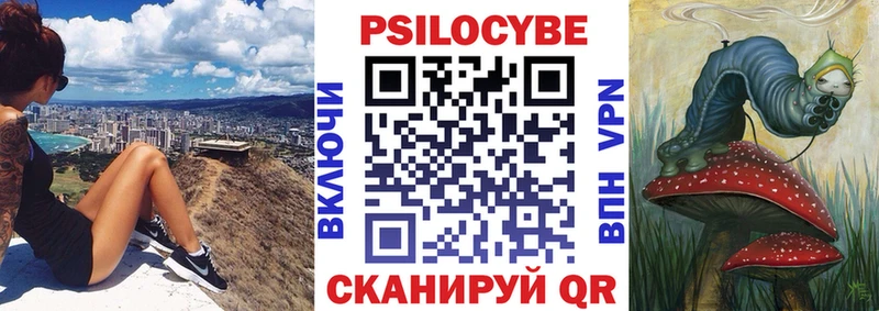 наркотики  Ноябрьск  Псилоцибиновые грибы Psilocybine cubensis 